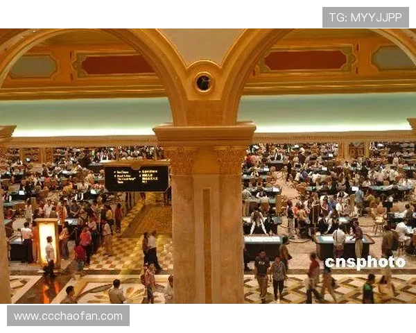 澳门新彩网app下载最新版手机官网：畅享最新博彩体验与便捷服务